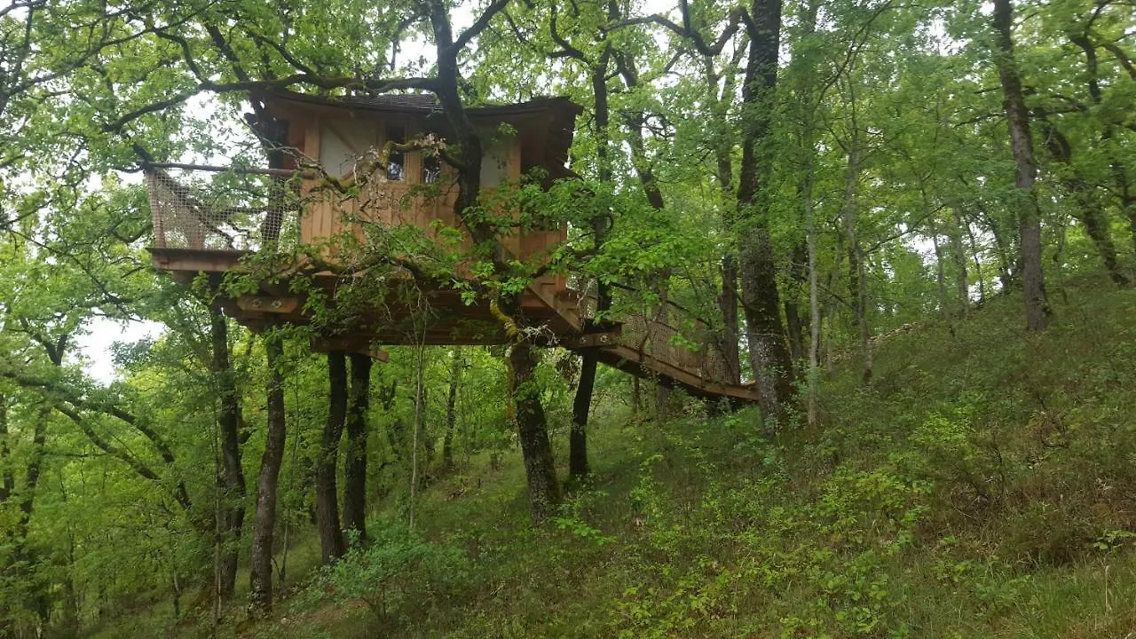 Cabane Dans Les Arbres - La Pagode Mechmont France